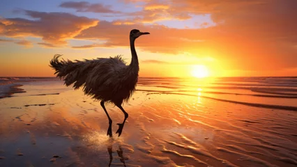 Foto op Canvas Golden Plumage: Ostrich's Evening Journey © Andrii