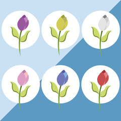 icon, decoration Tulips Simple Cool
