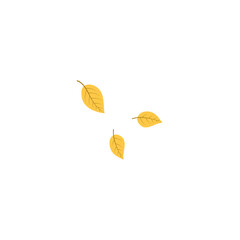 Falling leaves Illustration 