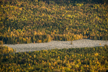 Obraz premium colorful autumn mixed forest in the mountains