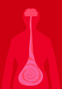 Intestine and brain with microbiome illustration. Nutrition 
