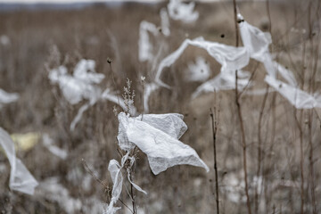 Environmental pollution. Plastic bag in the nature. Garbage is flying in the natural environment.