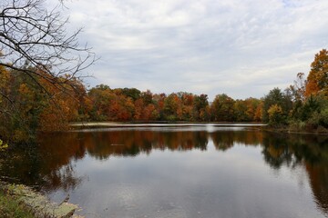 The calm lake in the park on a cloudy autumn day.