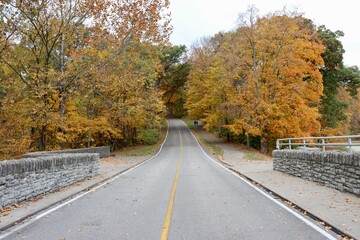Obraz premium The empty road in the countryside on a autumn day.
