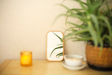 Selective focus of small mirror on dresser with reflection of potted aloe vera houseplant
