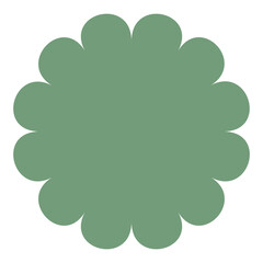 flower in the botanical garden, the blossoms bloom