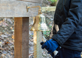 Action in Tradition: Hand in Glove Ringing a Brass Bell