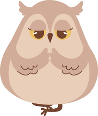Owl Bird Meditating
