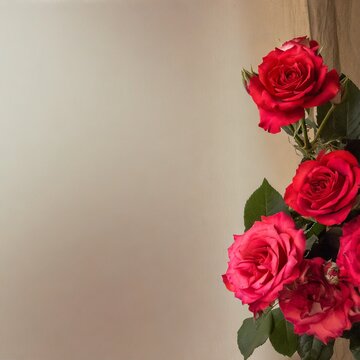 light background, red roses at the edge of the picture