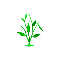 plant isolated on white background