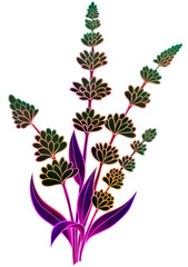 Lavender flower on transparent background, design element, lavender png