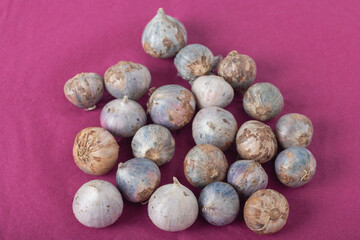 Thailand Organic Garlic Tone healthy food ingredient rustic