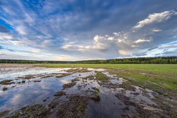 A field after a flood, a large puddle in which clouds are reflected, Evening landscape on a flooded meadow.