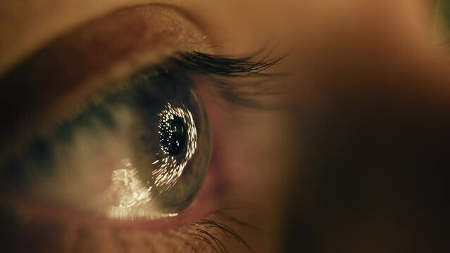 christmas lights reflected in the eye