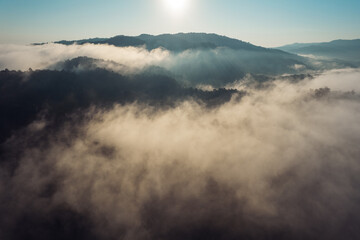 Morning fog in the forest before spring