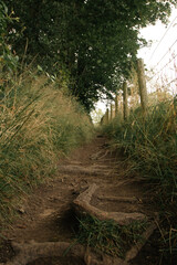 A worn down dirt path going through Burrs Country Park in Bury, England.