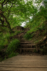 A set of worn wooden steps found in Burrs Country Park in Bury, England.