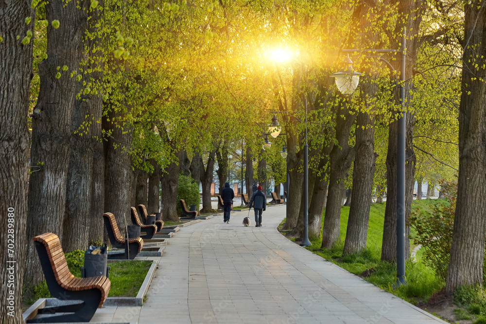 Wall mural Wooden benches in the city park on the street, the stone base is fixed in the rabitz grid, landscape design, resting place of citizens.