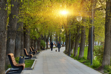 Wooden benches in the city park on the street, the stone base is fixed in the rabitz grid,...
