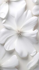 Fototapeta na wymiar A close up of a bunch of white flowers