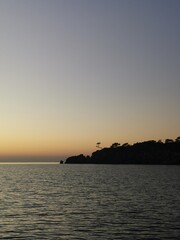 Fototapeta premium Rock in the sea with a tree at sunset