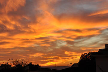 Obraz premium Atardecer con vista a un cielo amarillo naranjo. 