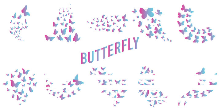 Butterfly Design Flying