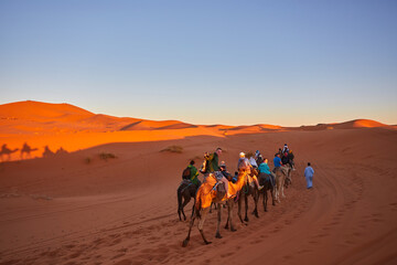 Tourists riding camels, smiling, in the Sahara Desert