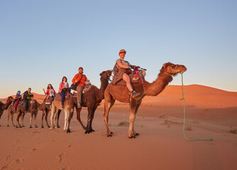 Saharan Serenity: Camel Trekking Delight