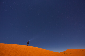 Obraz na płótnie Canvas Starry Trek Across Sahara