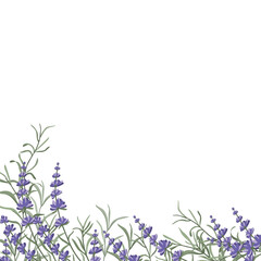 Fototapeta na wymiar Floral purple-lavender border made of lavender flowers and leaves, for the design of postcards, invitations, banners, packaging and wallpaper. A frame for your design. Vector illustration