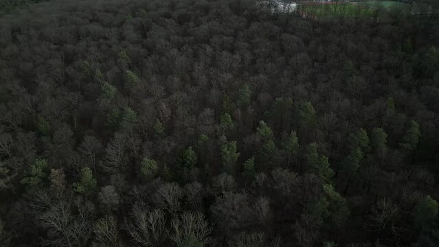 Der wundersch&ouml;ne Kr&auml;herwald im Herbst, mitten in Stuttgart.