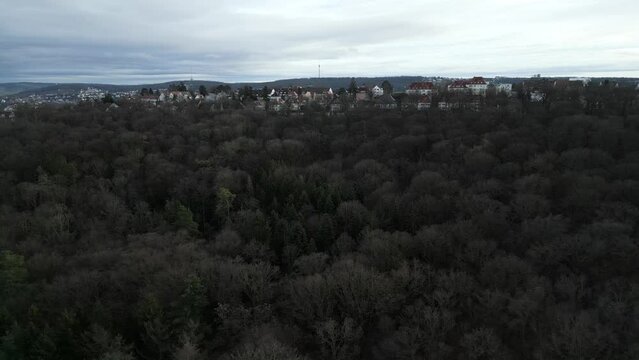 Kr&auml;herwald, Stuttgart.