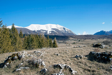 Crest of the mountain range with coniferous forests in the valleys and related plateaus. Marsicano Mounts, Abruzzo, Italy. 