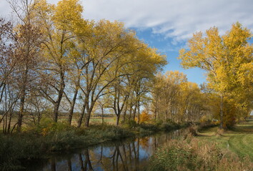 Der Fluss Nuthe nahe dem Dorf Gröben im Herbst