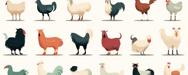 Poster Various farm animals on white isolated background.  Farm animals like chick, pig, cow, sheep © amazingfotommm