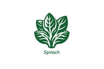 Fresh Spinach Leaf Vector Illustration Icon