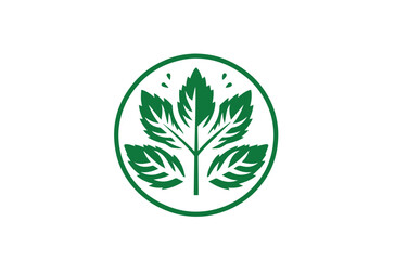 Fresh Mint Leaves Vector Illustration Icon