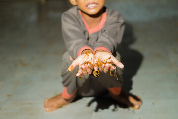 boy holding termites or moths in Indonesian (laron) flying to appear at night