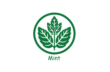 Fresh Mint Leaf Vector Illustration Icon