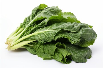 Fototapeta premium Vibrant mustard greens on a clean white background ideal for advertisements and packaging designs