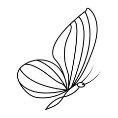 Continuous Single line drawing of  butterfly  out line vector  art drawing  and  flying  butterfly editable stroke