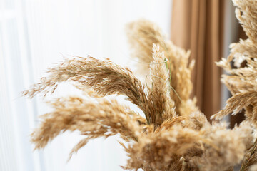 Dried Pampas Grass, Decorative Feather Flower Arrangement for Home, Beach Theme, New Trendy Home...