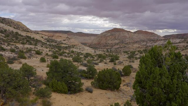 Establishing shot of brown mountains with green forest in The Hogback Scenic Root 12, Utah, North America. Day time on October 2023. ProRes 422 HQ.