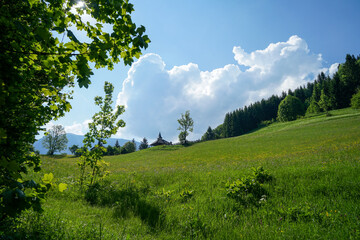 Idyllic and calm landscape: lush green meadow and bluesky near Lackenhof am Ötscher in Lower Austria