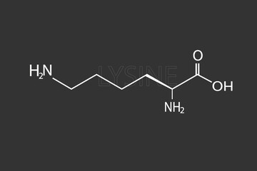 Lysine molecular skeletal chemical formula