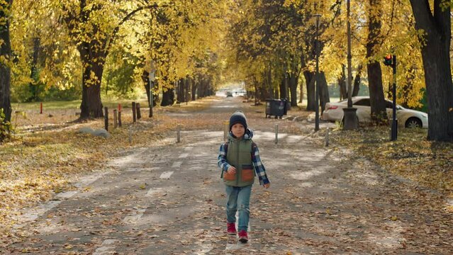 A happy schoolboy with a backpack goes to school on a yellow letter. Autumn is the time of study, the child rushes to classes. High quality 4k footage