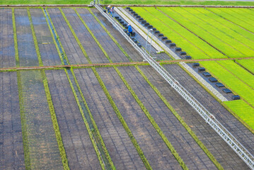 Obraz premium Farmer are working in the farm