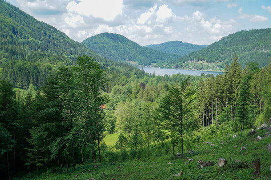 Lunzer See: View from hill to idyllic lake in between the forest and mountains in lower austria. 