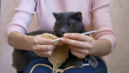 Amusing cat bites knitting needles as owner crochets in vertical video. Cat knitting scene is...